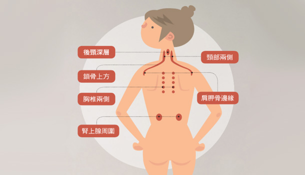 召喚深色脂肪大作戰