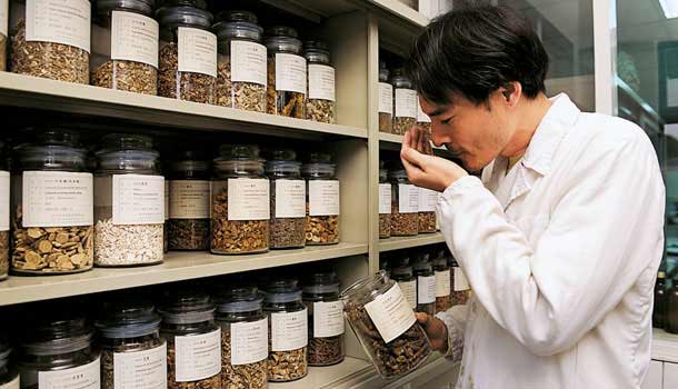 朱慧芳:效的科學中藥哪裡找?