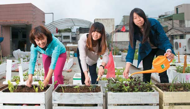 都市農家女把菜種到每家屋頂