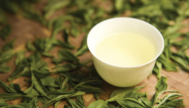 朱慧芳:高山茶的兩難