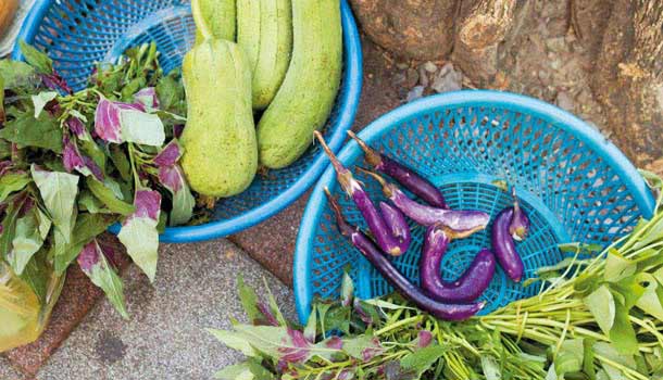 【閱讀全文】選對安心好食物,輕鬆在家自己煮