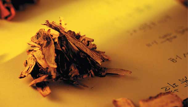 張恒鴻：讓優秀中醫人才，到世界各地開花結果