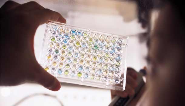 跨國研究發現2個乳癌新基因標記