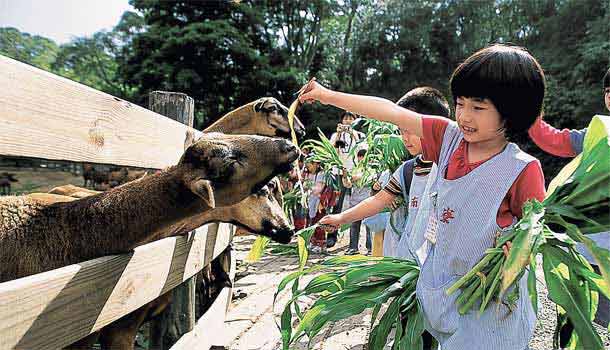 與動物為伍,紓解焦慮