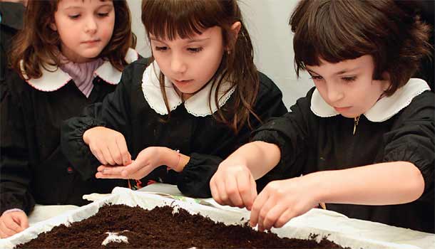 飲食教育帶孩子親近真食物