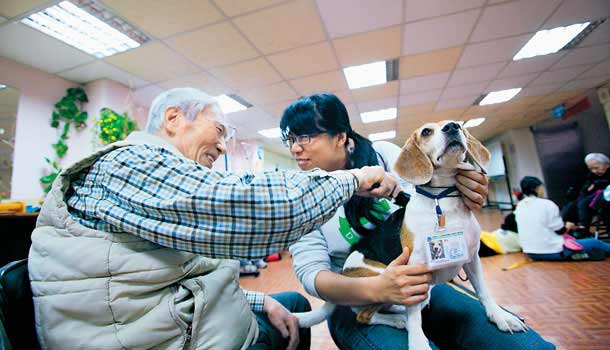 認知功能減低,恐增加中風風險