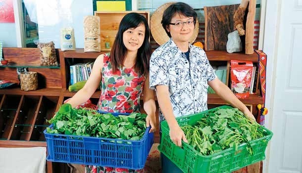 社區菜市長/有機米、黑豆做蛋糕,用樂活產品改變世界