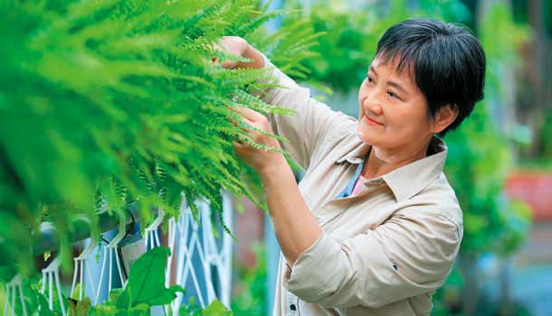 園藝療法抗失智/植物做鑰匙,開啟記憶抽屜