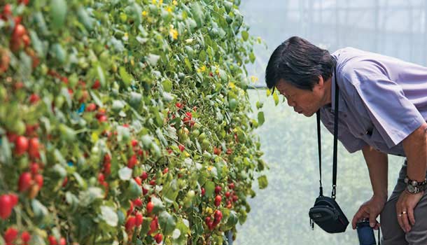 植物神醫蔡東篡,讓貧地種出六星級食材