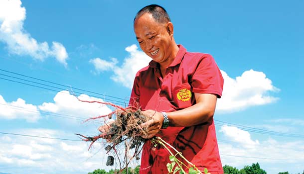 本土安全中草藥哪裡找?