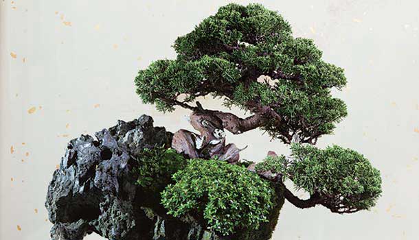 【閱讀全文】一路笑到那一天