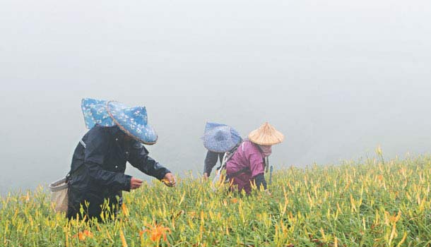 記得當年想種有機的眼神