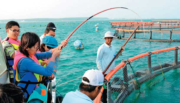 向傻瓜致敬之旅