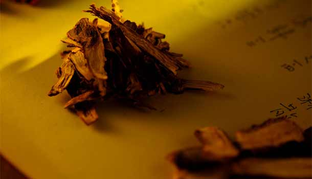 腸胃炎和胃潰瘍可否用中藥改善?