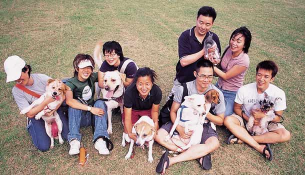 8個覺悟，１個人幸福終老