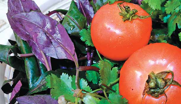 【閱讀全文】悅性食物幫你開心過年