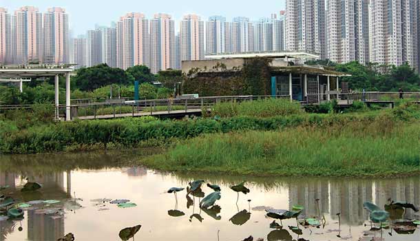 在金融城蓋濕地公園,香港人在想什麼?