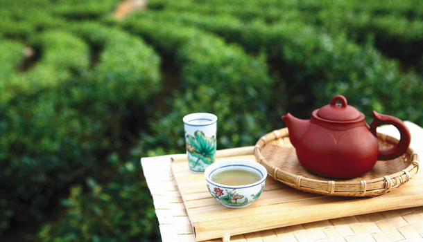 找碴?混茶?我要喝真正好茶