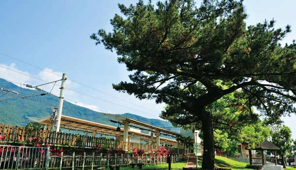 來去萬榮、富里,回味日常老風景