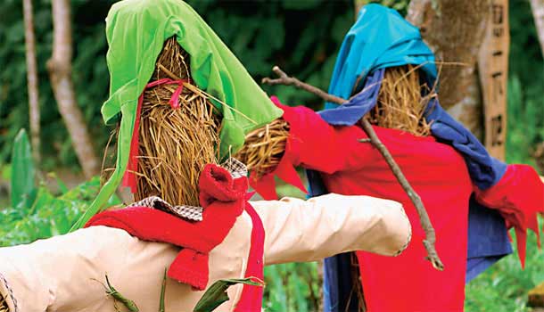 頭城農場 在遊樂園學習愛地球