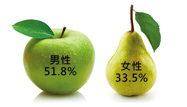 005 蘋果、西洋梨,哪種身材類型容易得心臟病?