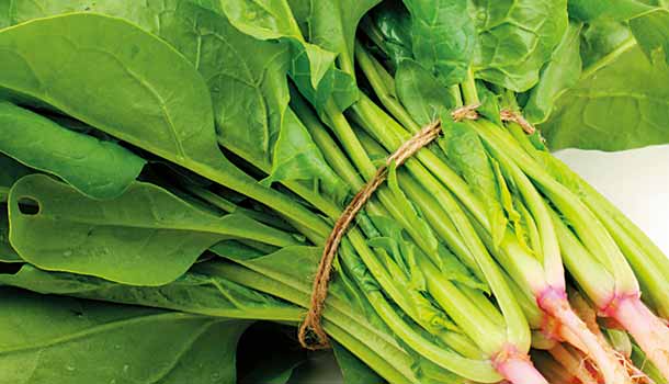061 心房纖維顫動怎麼治療?