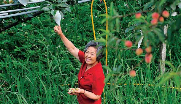 皮薄、汁多,連神明都愛