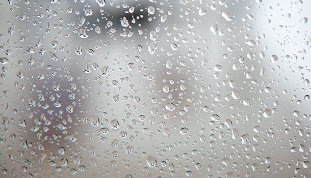 楊世敏:除濕機、空氣清淨機,亞熱帶養生必備