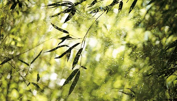 人生若能重來,再也不敢有負面情緒