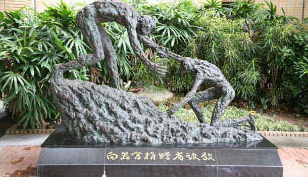 移植醫學、其他特色科