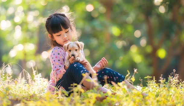 動物可緩解自閉兒的社交焦慮