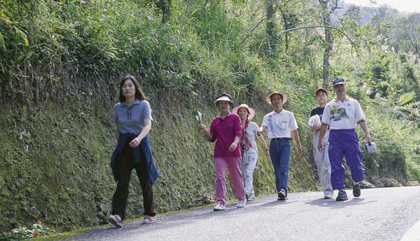 運動•休閒短波──步行有助健美