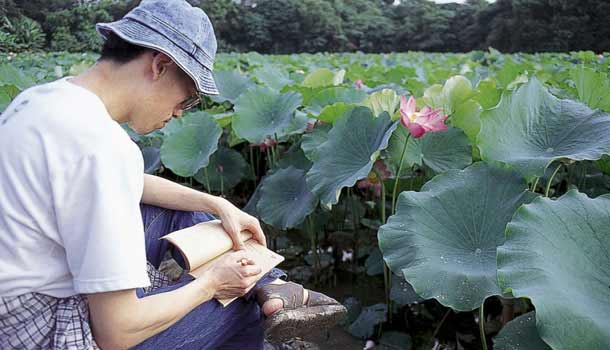 賞蓮.散步.白河行
