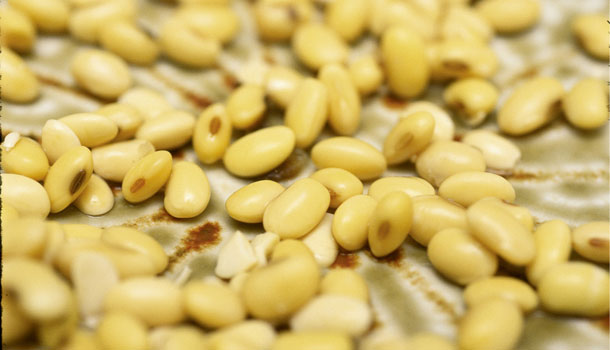食物•營養短波──黃豆可以標示好「心」食物