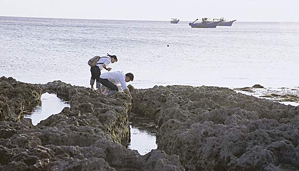 潮間帶裡神奇探險