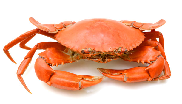 海鮮美食潛在危機