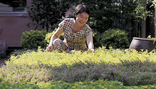 把陽台變花園