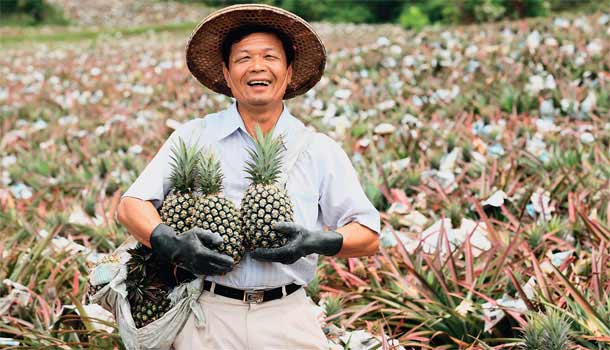 甜出來的雙嬌奇緣