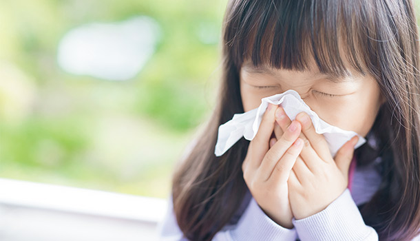 狂哈啾是「花粉熱」作怪?