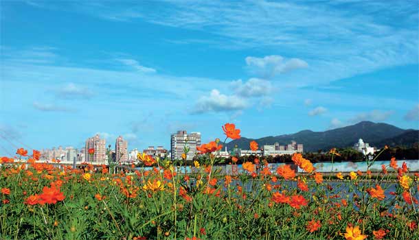 健康城市大調查10週年