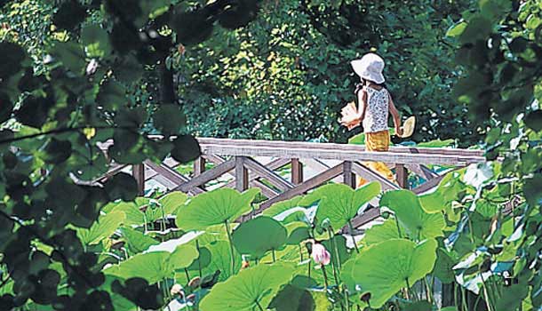 我家小孩不是草莓族