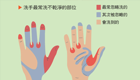 圖解／揪出洗手最常洗不乾淨的部位