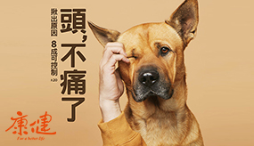 【230期】頭，不痛了